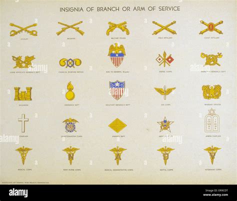 Army Service Uniform Branch Insignia