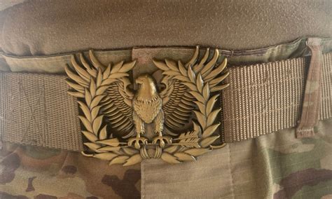 Army Warrant Officer Belt