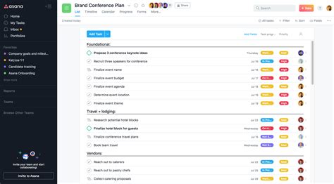 Asana Customization