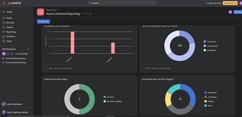 Asana Reporting and Analytics