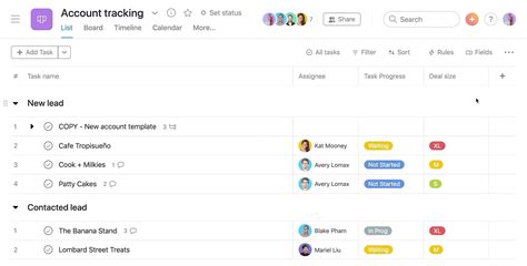 Asana Sales Customization