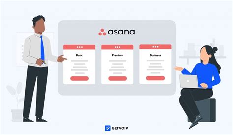 Asana Sales Optimization