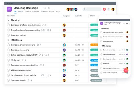 Asana Task Management