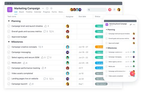 Asana Workflow Optimization