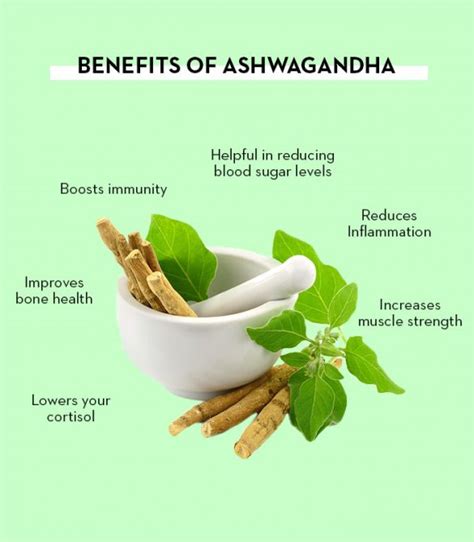 Description of Ashwagandha Benefits for Mothers