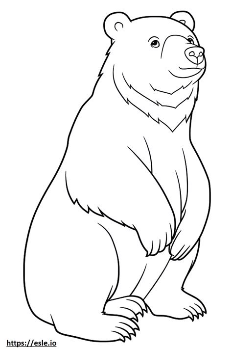 Asian Black Bear Coloring Pages