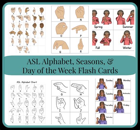 ASL Educational Flashcards