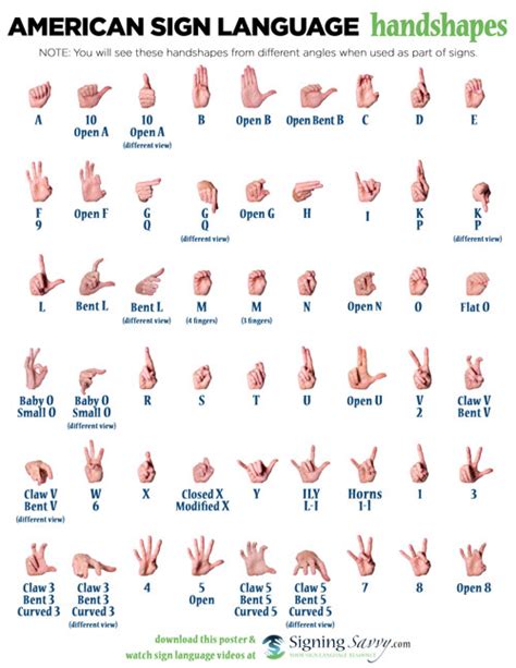 ASL Handshapes