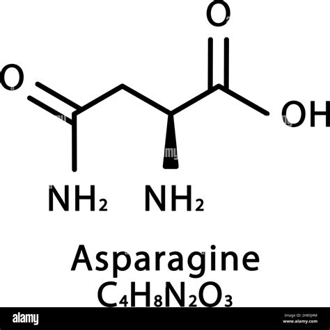 Asparagine structure illustration