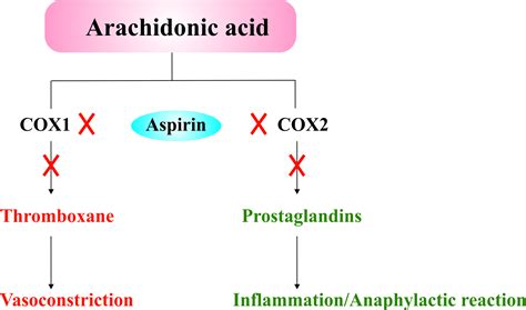 Aspirin Mechanism of Action