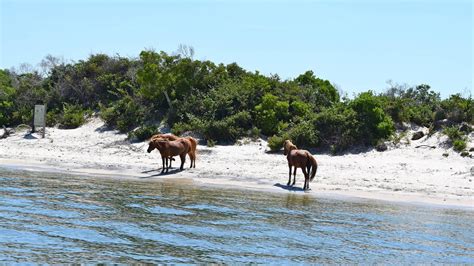 Assateague Island National Seashore