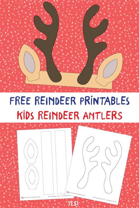 Assembled Reindeer Antlers