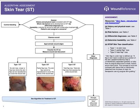 Assessing Skin Tears