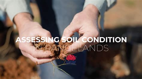 Assessing Soil Conditions