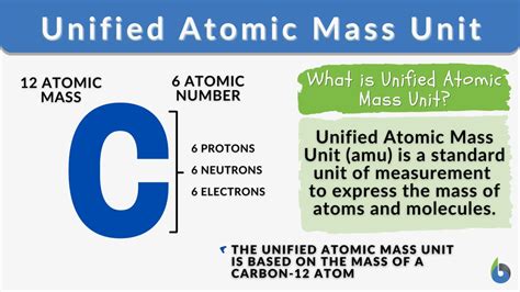 Understanding the atomic mass unit