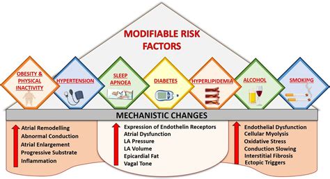 Atrial Fibrillation lifestyle changes