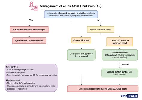 Atrial Fibrillation management illustration