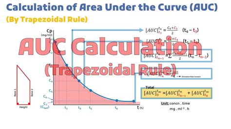 AUC Calculation Example