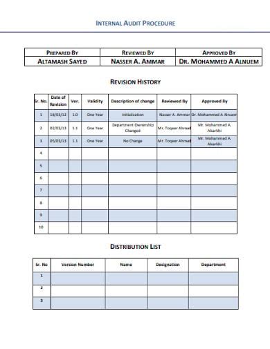 Audit Procedures Template