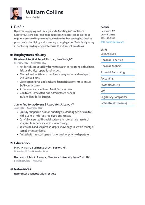 Auditing Resume Template