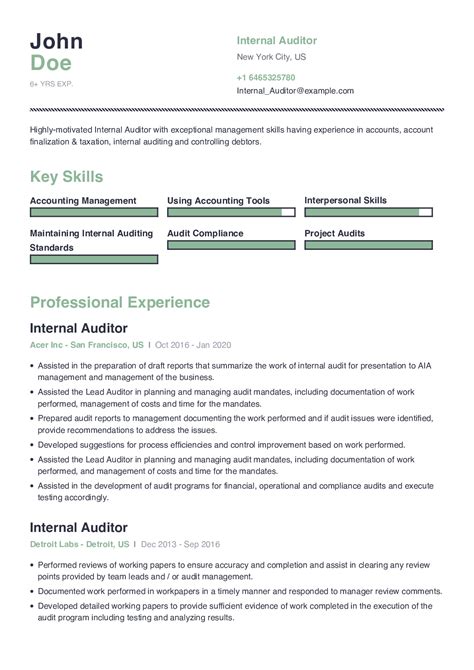 Auditing Resume Template Example