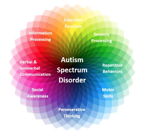 Autism spectrum disorder example