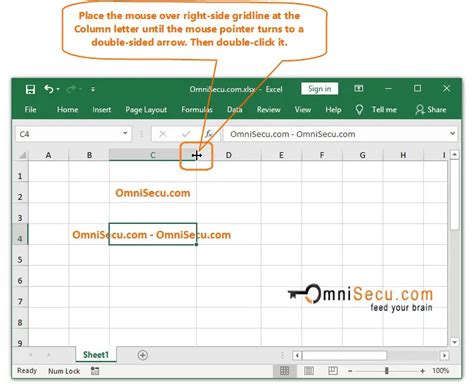 Auto-Fit Column Width VBA