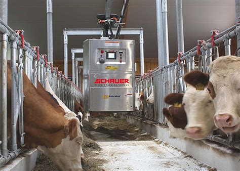 Automated Identification Systems for Cattle