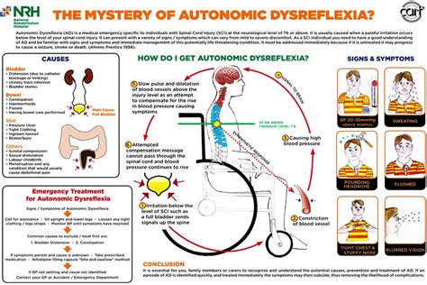 Autonomic Dysreflexia Causes