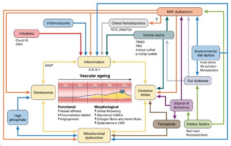 Working Mechanisms of Autonomous Systems and Machines