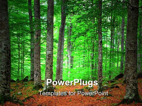 Autumn Forest PowerPoint Template