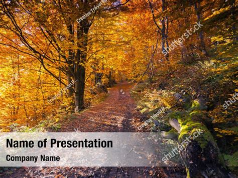 Autumn woodland PowerPoint template