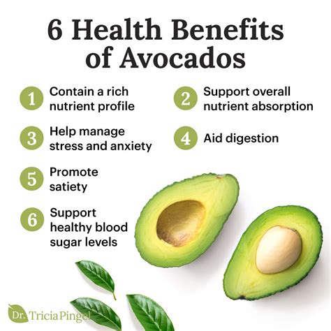 Avocado nutrition and health