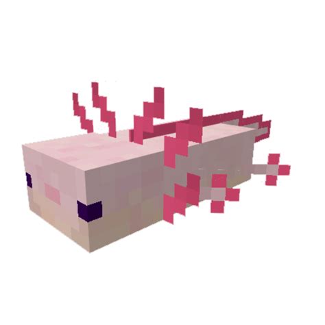 Axolotl Skin Templates Ideas Gallery