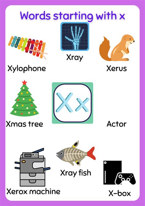 B words with X vocabulary