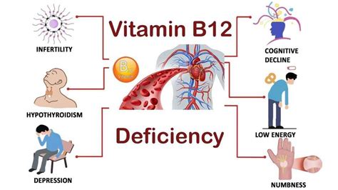 B12 Deficiency Prevention