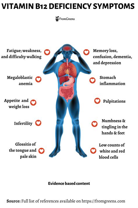 B12 Deficiency Symptoms