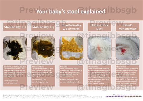 Baby Bowel Movements