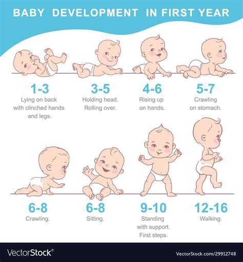 Baby Formula and Food Stamps FAQ