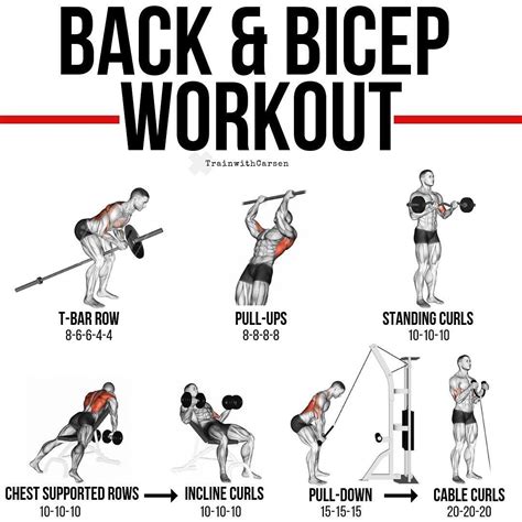 Back and Biceps Workout