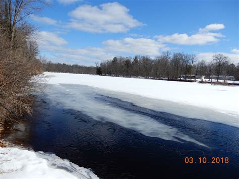 A photo of the wetlands at the Back Forty