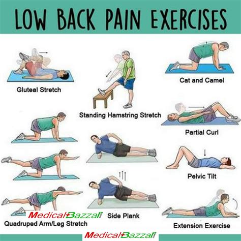 Back Pain Exercises