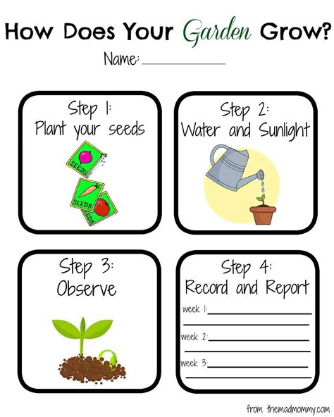 The Bad Seed reflection activity for kids