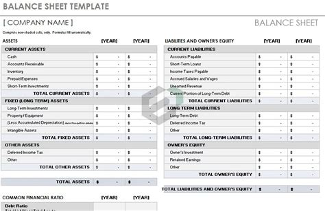 Balance Sheet and Ratios Template