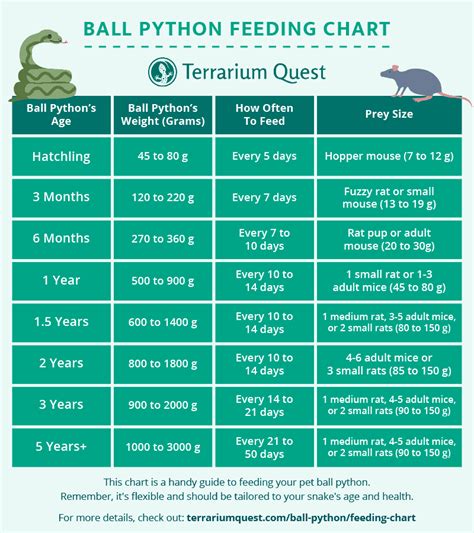 Ball python feeding chart for hatchlings to adults