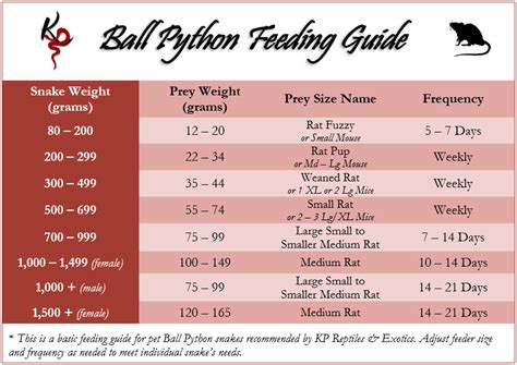 Ball python feeding chart