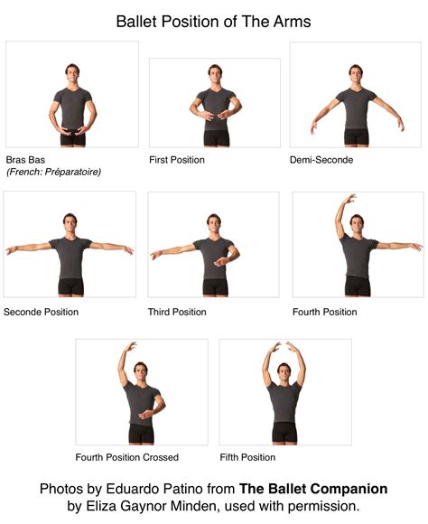 Ballet Positions Arms