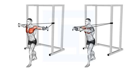 Banded Chest Flys Exercise