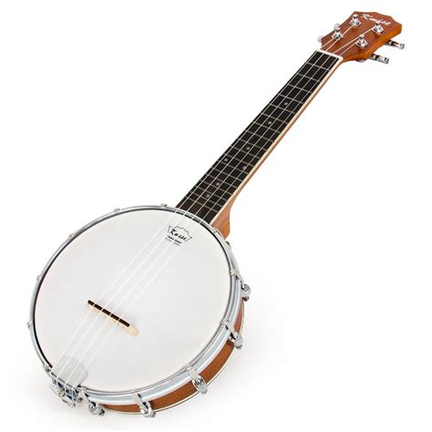 Banjo instruments variety