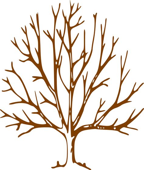 Bare Tree Template Clipart